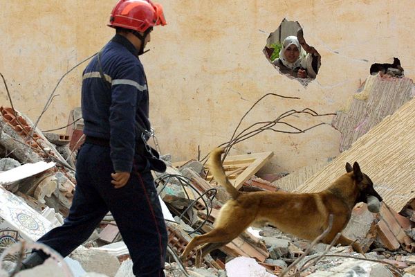 De nombreux pays se sont portés volontaires pour aider les secouristes et pompiers marocains.