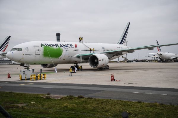 Ces militants dénonçaient la volonté de créer une filière dite "d'avion vert".