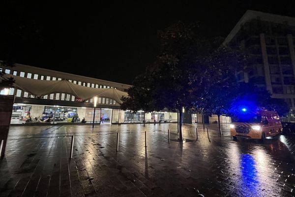 Jeudi soir, la gare de Poitiers a été évacuée en raison de deux alertes au colis piégé susceptibles de se trouver dans des trains à destination ou en transit par Poitiers. Elle a rouver au public aux alentours de 20h.