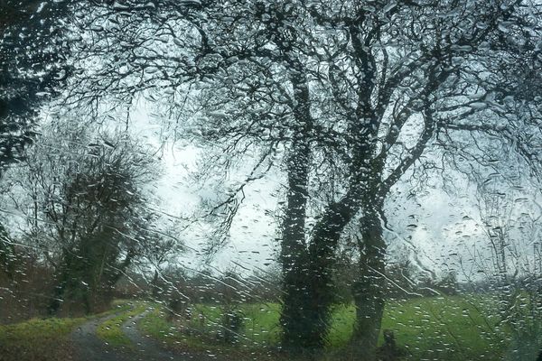 Le bruit de la pluie -  en 2023