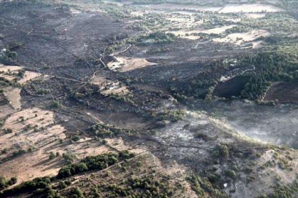 Au total, une centaine d'hectares avaient été ravagés par le feu dimanche en fin d'après-midi