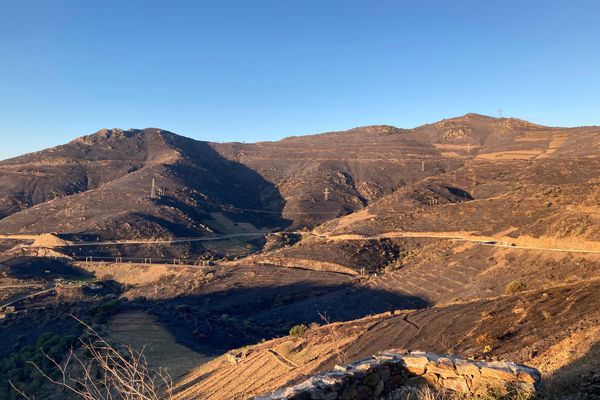 Un paysage des Pyrénées-Orientales entre Banyuls-sur-mer et Cerbère, ravagé par un incendie très précoce, le 16 avril  2023.