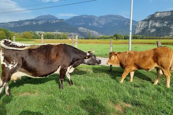 Sixtine (à droite sur la photographie) découvre la ferme dans laquelle elle va vivre une retraite paisible, en Isère.