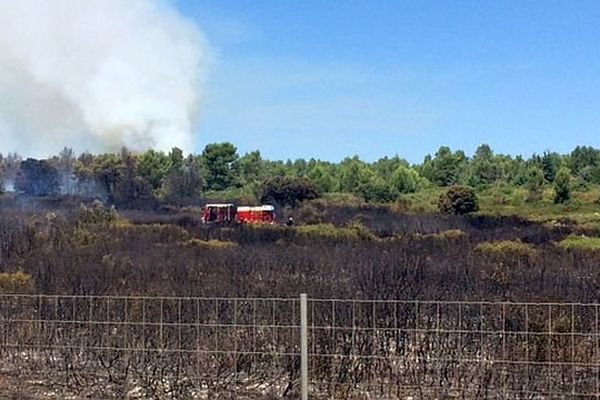 Entre Montarnaud et Saint-Paul-et-Valmalle (Hérault) - l'incendie ravage la pinède, les pompiers luttent contre les flammes - 10 juillet 2016.