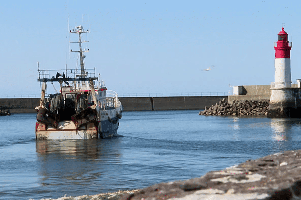 Plusieurs dizaines de bateaux de la flotte hauturière du Finistère, vont bénéficier du plan de sortie de flotte proposé par le gouvernement, pour tous les pêcheurs qui n'ont pas réussi à obtenir de licence pour pêcher dans la Manche, suite au Brexit.