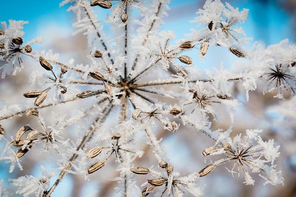 Givre