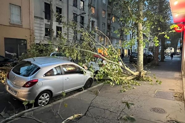 Un arbre tombé sur une voiture sur le cours Docteur Long au passage de la tempête Kirk à Lyon, dans le quartier Monchat le 9 octobre 2024.