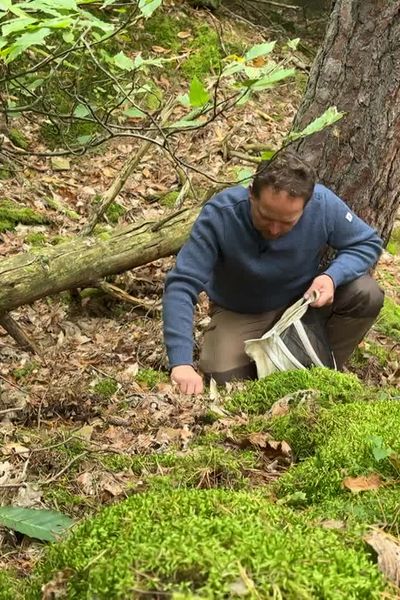 Morilles au printemps, cèpes en automne, girolles en été... Nicolas Six connaît et cueille tous les champignons qu'il trouve.