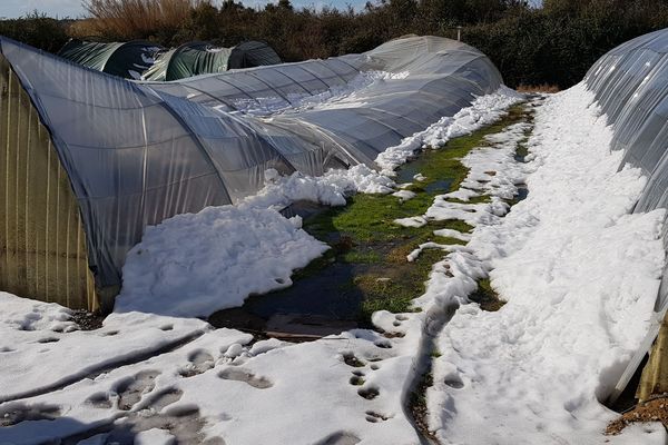 la serre s'est écroulée sous le poids de la neige - 2 mars 2018