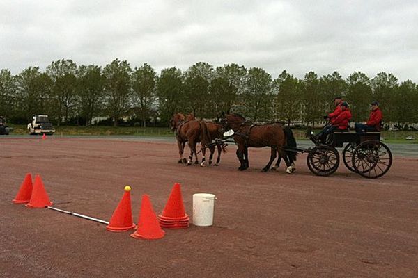 Un équipage du haras du pin est venu spécialement pour ce test avec 4 cobs normands