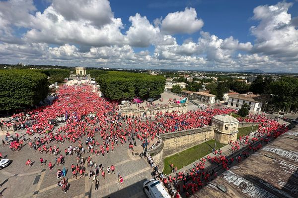 Une marée humaine s'est élancée dans la course contre le cancer ce dimanche à Montpellier. La course destinée à récolter des fonds pour la recherche sur le cancer du sein a battu des records de participation.