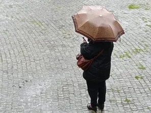 La pluie n'a pas douché l'humour du maire de La Grigonnais.