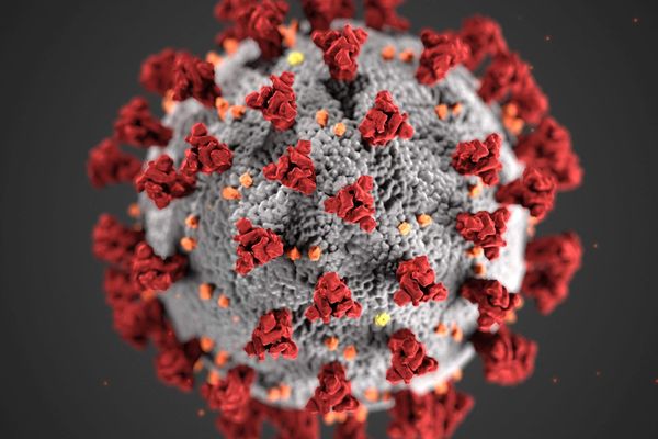 23 nouveaux cas de coronavirus ont été enregistrés en Haute-Savoie ce dimanche 15 mars 