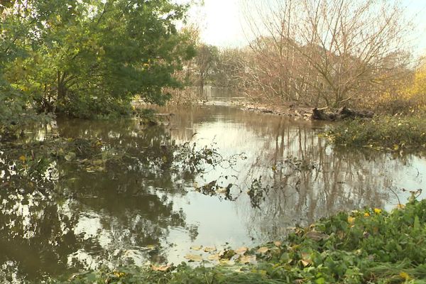 La Vienne en crue a inondé des routes à l'Ile Bouchard