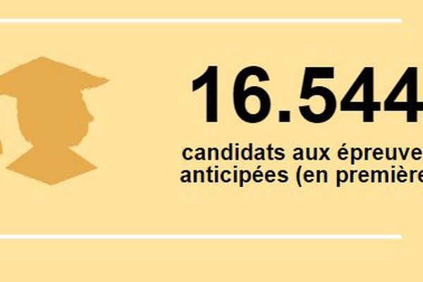 En 2015, 16.544 candidats se présentent aux épreuves anticipées (en première) du baccalauréat en Lorraine.