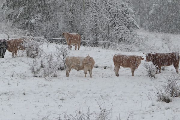 Le premier épisode neigeux marquant de la saison à basse altitude est donc attendu pour jeudi 21 novembre dans les Alpes-du-sud, placés en vigilance jaune "avalanches".