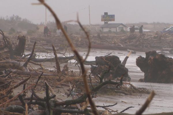 Après les intempéries du week-end des 12 et 13 mars 2022, la plage de Valras (Hérault), à proximité de l'embouchure de l'Orb,  a reçu des tonnes de bois flotté.