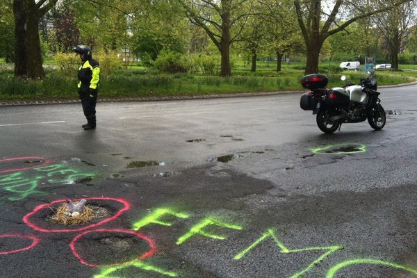 But de l'opération : mettre en lumière les nombreux nids-de-poule présents sur la chaussée. 