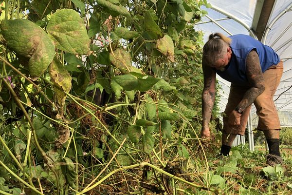 Comment choisir sa bâche de jardin? - Paroles de jardiniers