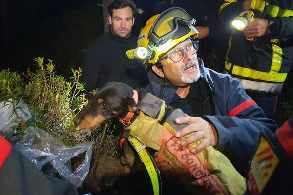 Cette petite chienne prénommée Rodéo a pu être libérée de sa cavité parès avoir passé quatre jours sous terre dans une cavité de Formiguères dans les Pyrénées-Orientales.