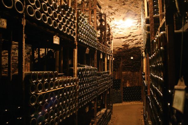 (Illustration) Les caves Bouchard Père & Fils à Beaune