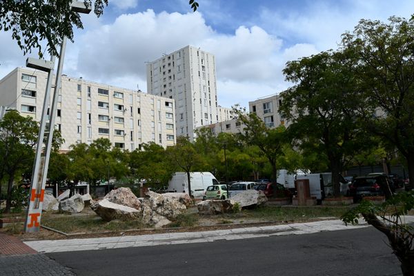 Le tireur responsable de la mort d'un jeune rugbyman à Saint-Peray a été interpellé lundi 4 novembre dans la cité de la Bricarde, près de La Castellane, au nord de Marseille