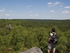 Randonneur dans la forêt de Fontainebleau