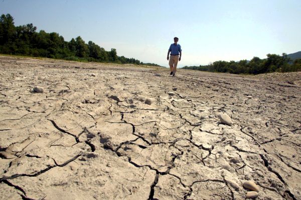 Près d'une vingtaine de communes de la Corrèze sont concernées par l'état de catastrophe naturelle relatif à la sécheresse.