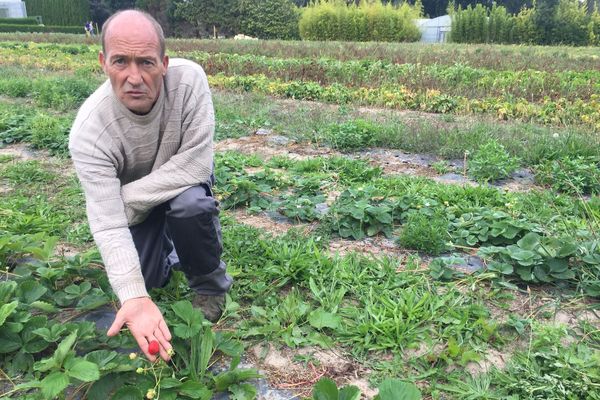 Les légumes et les fruits de Franck servent à cuisiner les repas des crèches vannetaises