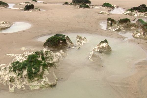 Une partie de la plage de Saint-Martin-en-Campagne a été interdite aux pêcheurs et aux baigneurs pour cause de pollution