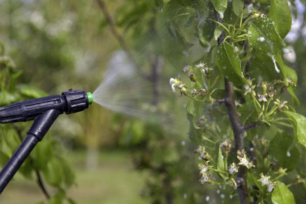 L'arrêté municipal sur l'interdiction d'utiliser des pesticides est une seconde fois rejeté par le tribunal administratif de Bordeaux.