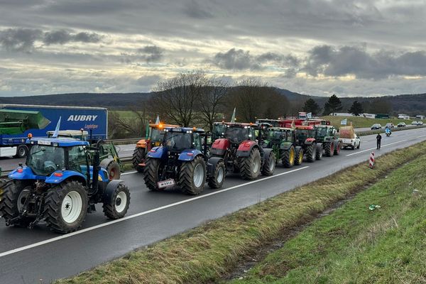 Direction l'aire de Thionville=Porte de France pour les agriculteurs. C'est là qu'ils effectuent leur opération contrôle de camions frigorifiques.