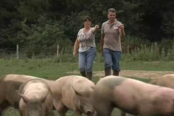 Eric et Valérie Nesson, éleveurs à Souvigny (03), produisent chaque année 1000 porcs sous le label "Porc fermier d'Auvergne"