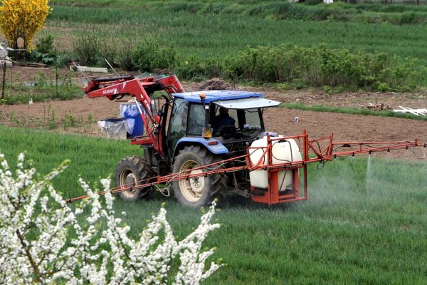 Par leur pollution, les épandages peuvent favoriser la mortalité du Covid-19.