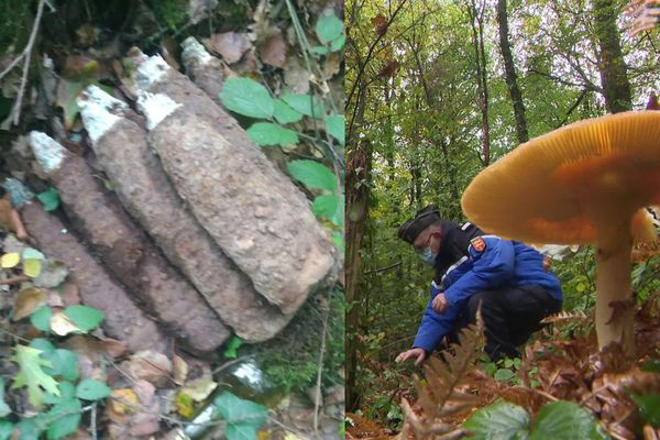 Les gendarmes ont découvert neuf obus de la seconde guerre mondiale entassés en forêt d'Andaine, dans l'Orne. Et ils ne sont pas les seuls.