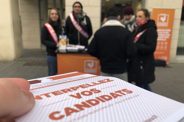 Les membres de l'association L214 invitent les Rémois à interpeller les candidats aux élections municipales à propos de la question animale