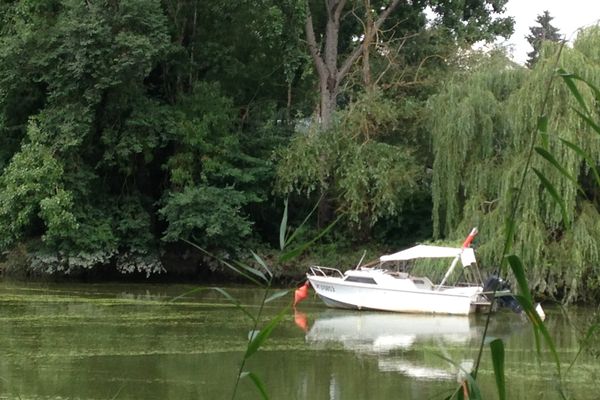 La Sèvre Nantaise fait partie des cours d'eau dont le débit s'est effondré ces derniers jours.