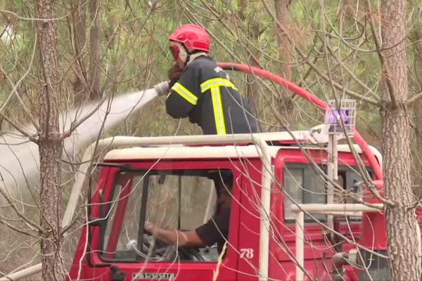 Vingt-quatre heures après les feux de forêts qui se sont déclarés dans le Lot-et-Garonne, une quarantaine de pompiers est toujours présente sur les lieux à 17 heures, ce lundi 12 août.