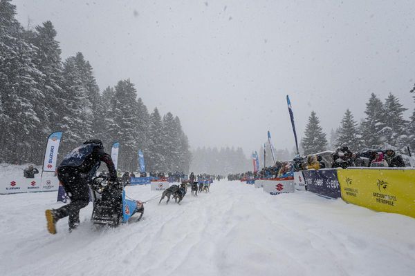 Le musher français Rémy Coste remporte la Grande Odyssée à Villard-de-Lans pour la 7e fois consécutive.