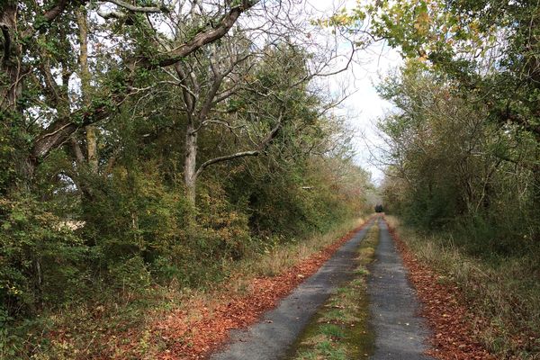 Le chemin qui mène au terrain au site de la future prison d'Angers Trélazé