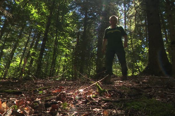 Rémy Leconte, garde forestier à l’ONF, lors d'une patrouille de prévention incendie dans le Vercors, le 9 août 2024.