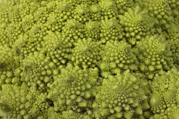 Lyon: des chercheurs ont réussi à percer le mystère de la forme du chou romanesco