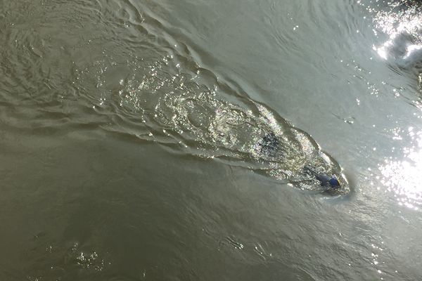 Descente de Loire