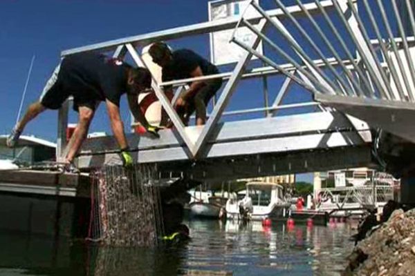 Carnon (Hérault) - L'entreprise Ecocean installe des abris pour poissons dans les ports du littoral - juillet 2015.