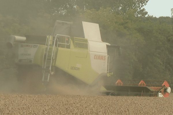 La conversion à l'agriculture bio nécessite des investissements que les subventions spécifiques aident à rembourser. 