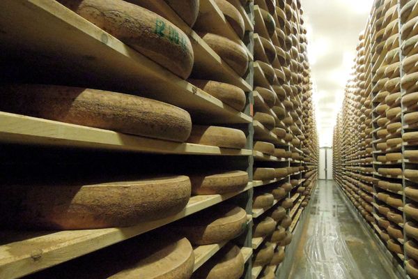 Une cave d'affinage de meules de fromage de comté de chez Juraflore, en 2013.