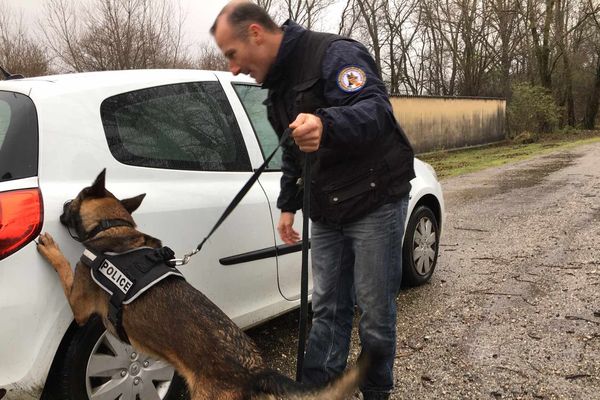 Oméga en plein exercice de recherche de drogue. 