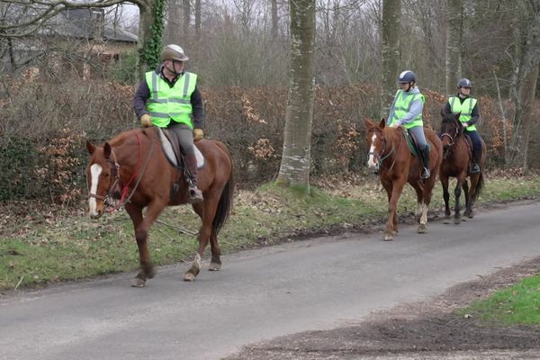 Tous les week-ends, une brigade équestre ramasse les déchets dans la forêt d'Eawy (Seine-Maritime).