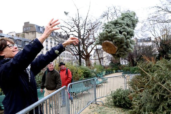 N'abandonnez pas votre sapin de Noël dans la rue, apportez le au point de collecte