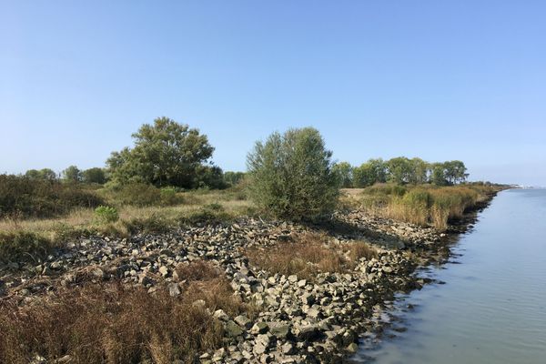 Le site du Carnet, sur les rives de la Loire